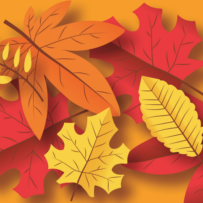 Carrés-magnétiques-4